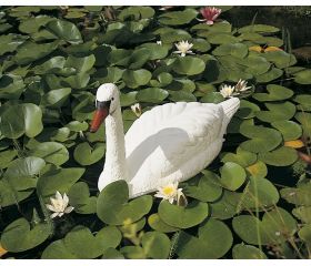 Animal decorativo para estanque - Cisne flotante - 26 cm.