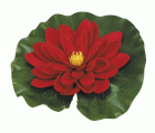 Nenúfar decorativo para estanque - Nenúfar rojo con gotas - Ø 14 cm.