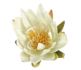 Nenúfar decorativo para estanque - Nenúfares blanco - Ø 16 cm.