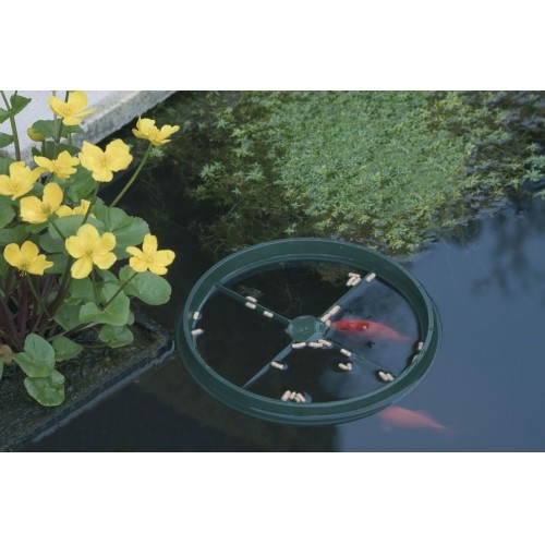 Comedero flotante para peces en forma de anillo - Ø 24 cm.