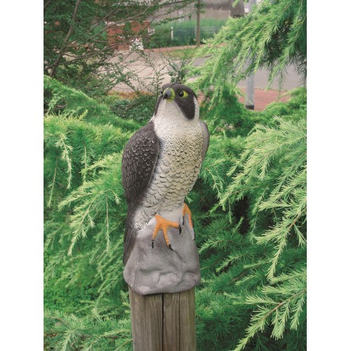 Animal decorativo para estanque - Halcón - 42 cm.