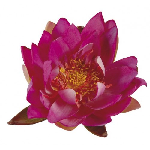 Nenúfar decorativo para estanque - Nenúfares rojo fuerte - Ø 16 cm