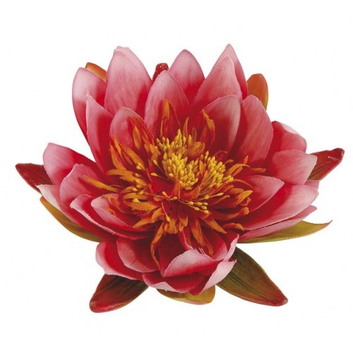 Nenúfar decorativo para estanque - Nenúfares rosa fuerte - Ø 16 cm.