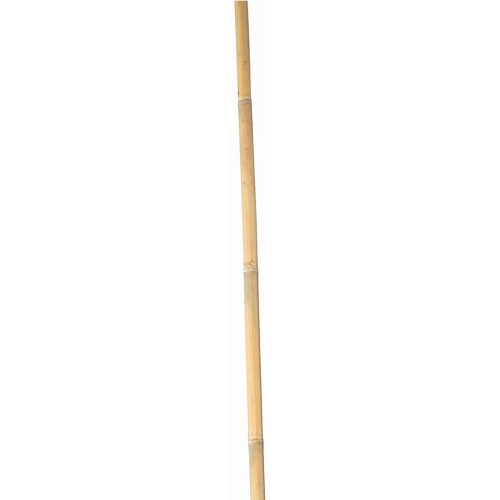 Tutores de Bambú Natural - 120 cm. - Ø 10-12 mm. - 5 unidades | 6040202