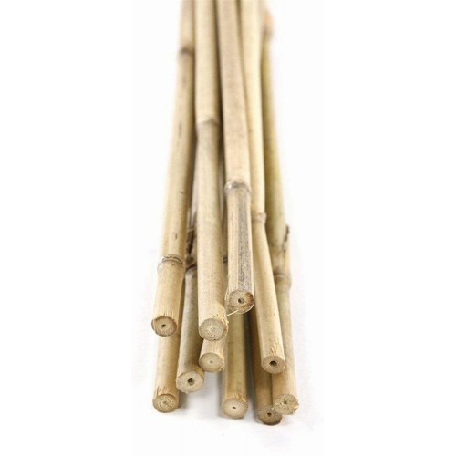 Tutores de Bambú Natural - 180 cm. - Ø 14-16 mm. - 3 unidades | 6040204