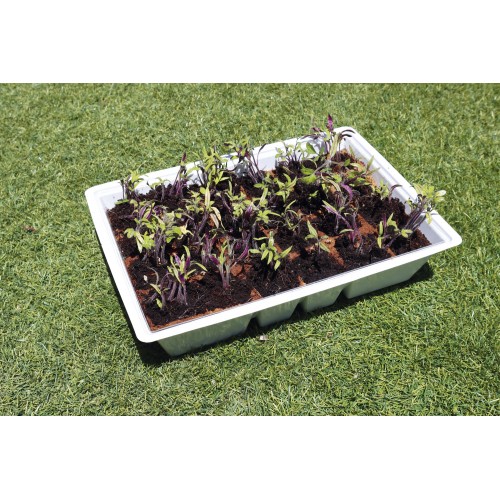 Kit semillero (4 bandejas de turba + base + tapa) - 33 x 23 cm. | B2012