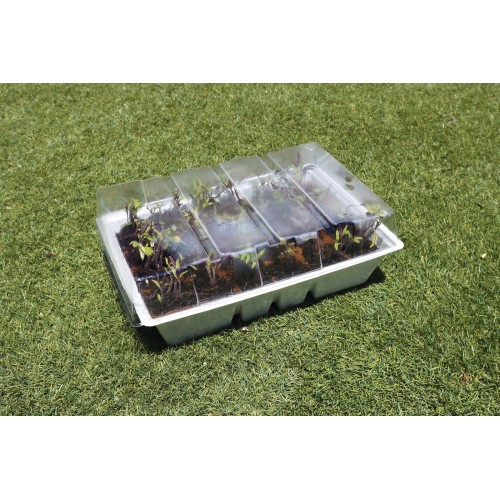 Kit semillero (4 bandejas de turba + base + tapa) - 33 x 23 cm. | B2012