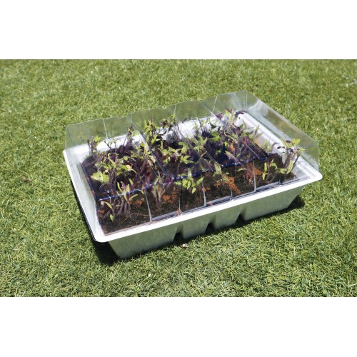 Kit semillero (4 bandejas de turba + base + tapa) - 33 x 23 cm. | B2012