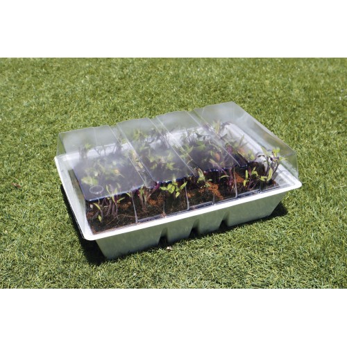 Kit semillero (4 bandejas de turba + base + tapa) - 33 x 23 cm. | B2012