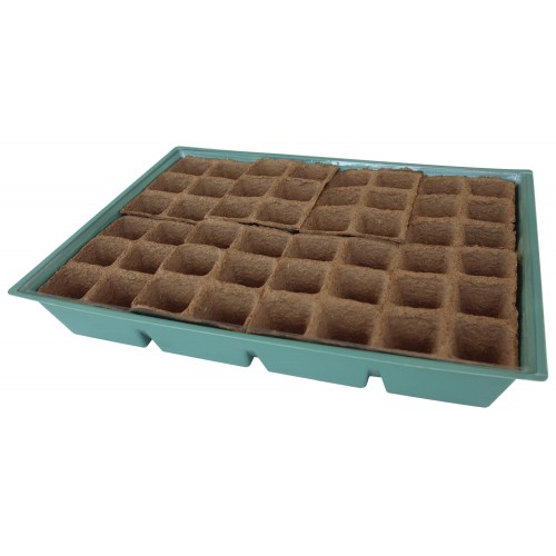 Kit semillero (8 bandejas de turba + base + tapa) - 43 x 33 cm. | B2013