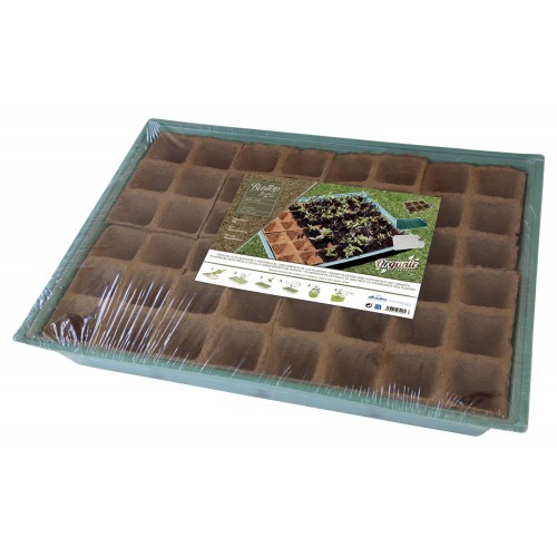 Kit semillero (8 bandejas de turba + base + tapa) - 43 x 33 cm. | B2013