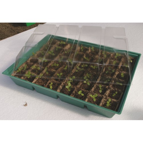 Kit semillero (8 bandejas de turba + base + tapa) - 43 x 33 cm. | B2013