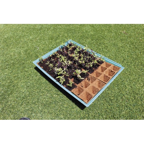 Kit semillero (8 bandejas de turba + base + tapa) - 43 x 33 cm. | B2013