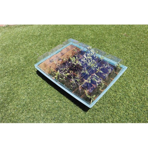 Kit semillero (8 bandejas de turba + base + tapa) - 43 x 33 cm. | B2013