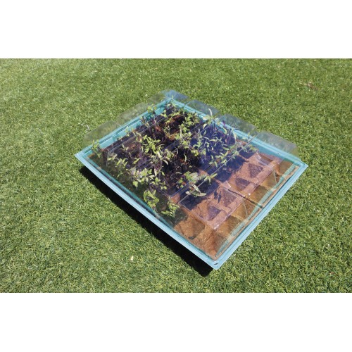 Kit semillero (8 bandejas de turba + base + tapa) - 43 x 33 cm. | B2013