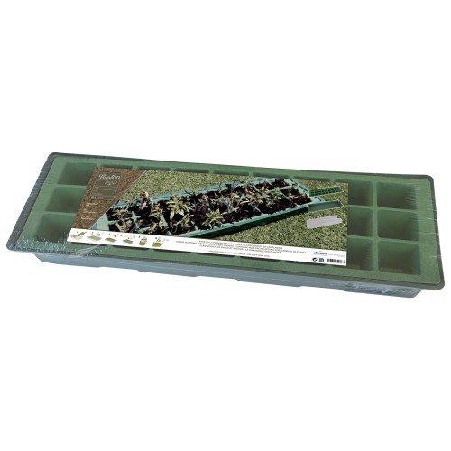 Kit semillero (bandeja + 4 semillero + 2 tapa) - 49 x 15,5 cm. | B2014
