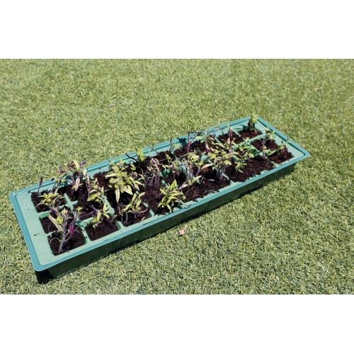 Kit semillero (bandeja + 4 semillero + 2 tapa) - 49 x 15,5 cm. | B2014