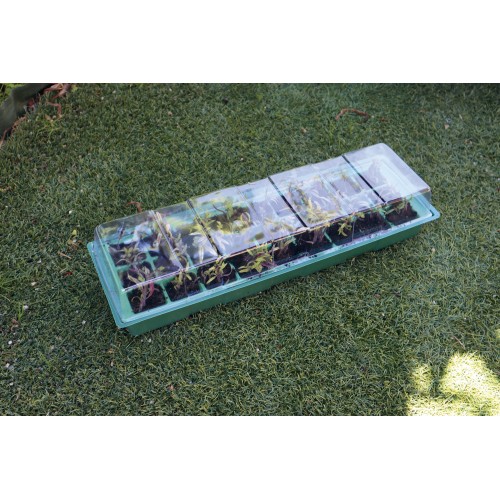 Kit semillero (bandeja + 4 semillero + 2 tapa) - 49 x 15,5 cm. | B2014