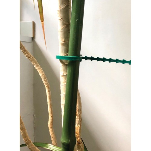 Tutores de Bambú Plastificados - 120 cm. - Ø 11 mm. | B2032B