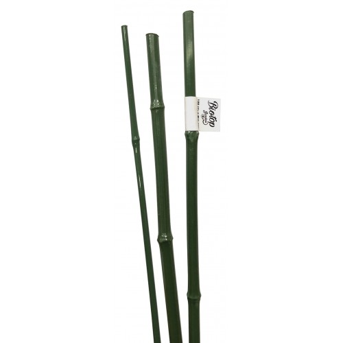 Tutores de Bambú Plastificados - 150 cm. - Ø 11 mm. | B2033B