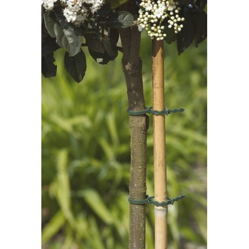 Atadura ajustable multiusos - 11,5 cm. - Verde | B2068