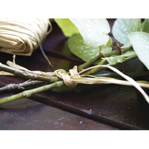 Rafia Natural - 80 gr. | B2173