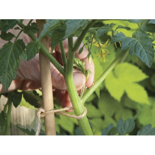 Cuerda natural de Yute - 50 m. - Natural (marrón) | B2174