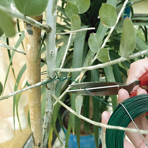 Alambre de hierro plastificado - 50 m. - Ø 1 mm. | B2178