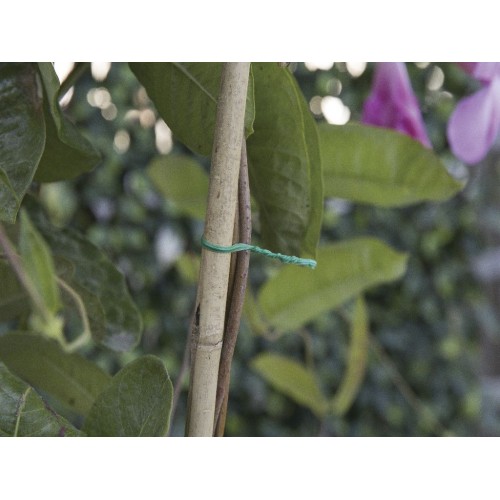Alambre plastificado “Hoby” - 100 m. - Ø 2,2 mm. | B2181