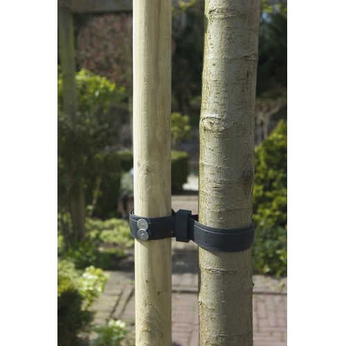 Banda de Caucho para arboles - 90 x 3,8 cm. | B2185