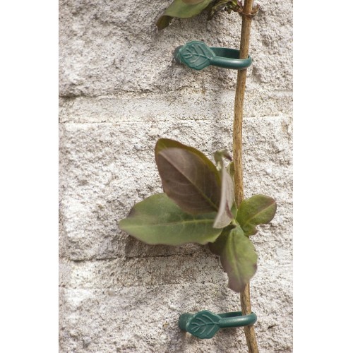 Abrazadera con clavo para plantas trepadoras | B2200