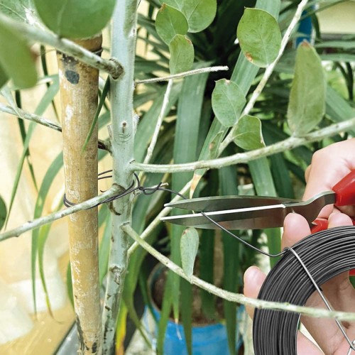 Alambre de hierro galvanizado - 50 m. - Ø 1 mm. | B2203