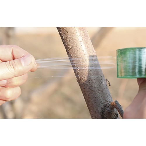 Cinta para injertar plantas - 100 m. x 3 cm. | B2265