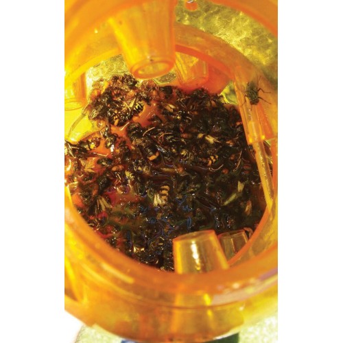 Trampa para Avispas e Insectos - Ø 13 x 15 cm. | B2420