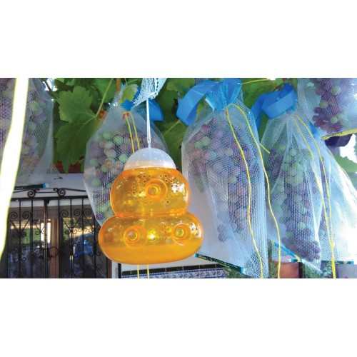 Trampa para Avispas e Insectos - Ø 13 x 15 cm. | B2420