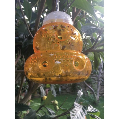 Trampa para Avispas e Insectos - Ø 13 x 15 cm. | B2420