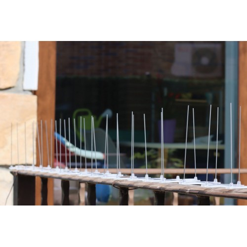 Alastop - 2 m de barrera disuasoria de aves (palomas) | B2430
