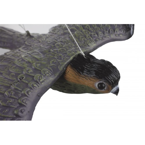 Halcón espantapájaros y roedores | B2502