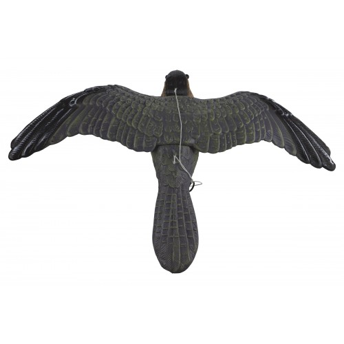 Halcón espantapájaros y roedores | B2502