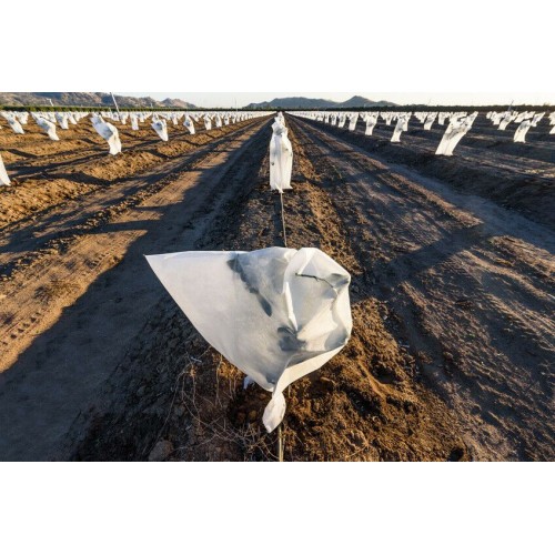 Saco medio - Ø 1,5 x 1,8 m. - 17 gr/m2. | B2560