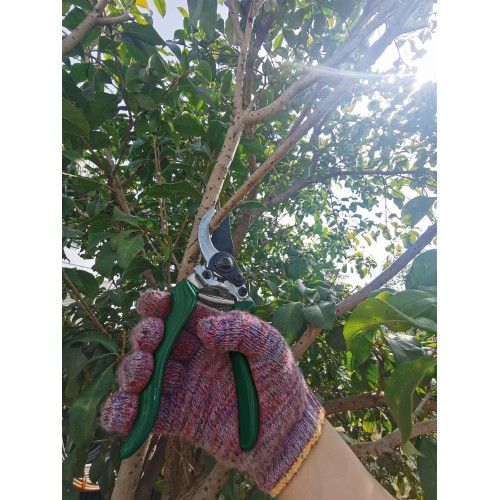Tijera de poda una mano ergonómica - Mangos de aluminio revestidos de PVC (antideslizante) | B3000