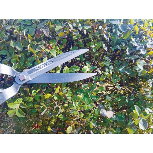 Tijeras para poda de setos | B3011