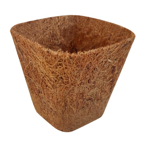 Macetas cuadradas de fibra de coco - 8 (h) x 8 x 8 cm. | B4023
