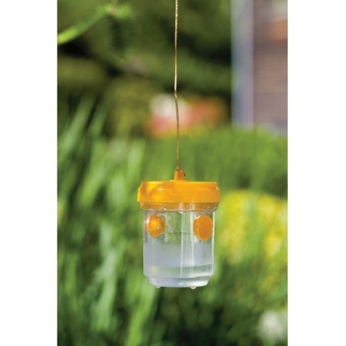 Trampa para Avispas e Insectos - Ø 9 x 15 cm. - 2 unidades | KOS135