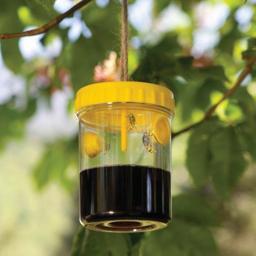 Trampa para Avispas e Insectos - Ø 9 x 15 cm. - 2 unidades | KOS135