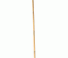 Tutores de Bambú Natural - 120 cm. - Ø 10-12 mm. - 5 unidades | 6040202