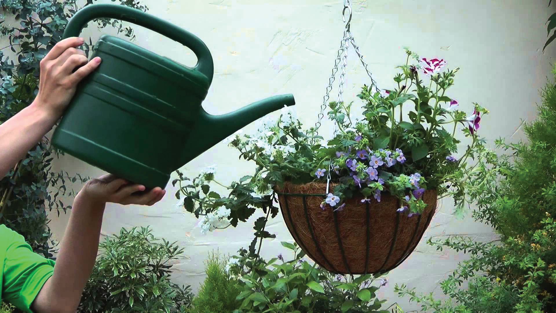 Cesto colgante metálico plastificado - redondo - Ø 40 x 20 cm. | 6070105