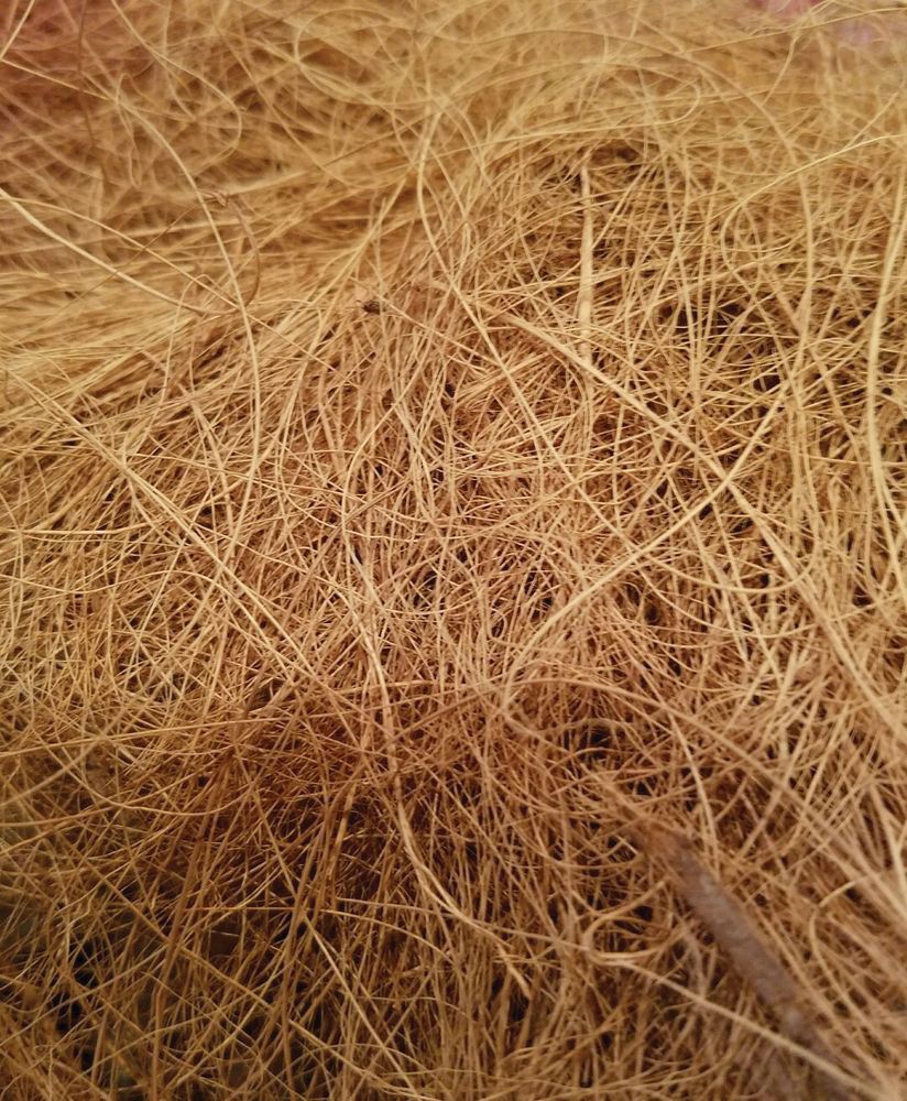 Forro de coco para cesto colgante - Semiredondo - 1/2 Ø 35 cm. | 6070134