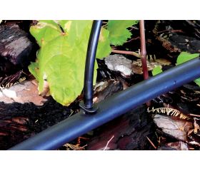 Enlace 4 mm. - Bolsa Granel 25 unid. | 902225