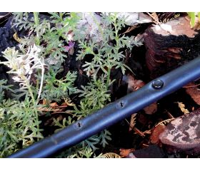 Tapón 4 mm. - Bolsa ZIP 10 unid. | 902510